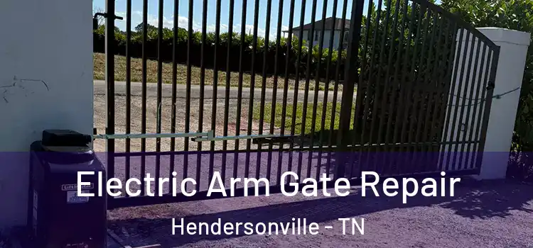 Electric Arm Gate Repair Hendersonville - TN