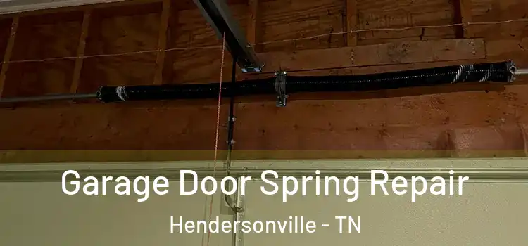  Garage Door Spring Repair Hendersonville - TN